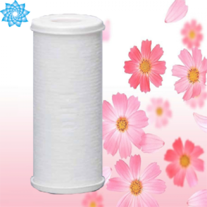 Lõi lọc nước - Filter Cartridge FHG